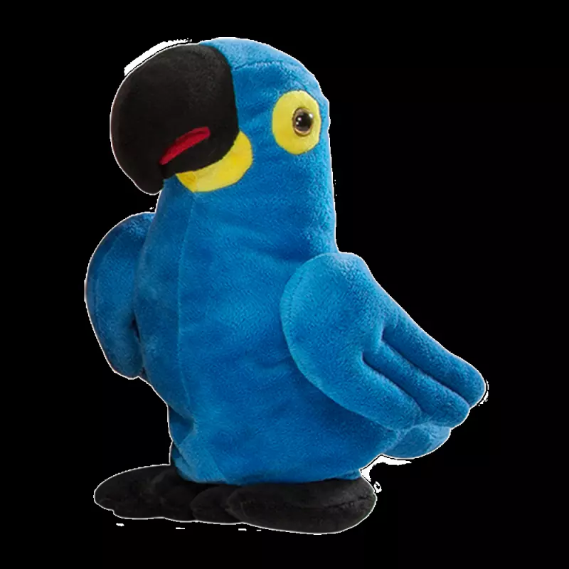 Arara chocobichos