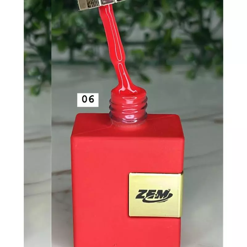 Esm.Gel Zem Novo 06