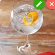 Gin Tonic