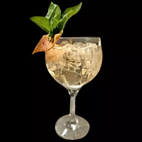 TERRA TONIC