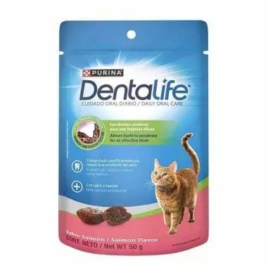 Premio para gatos