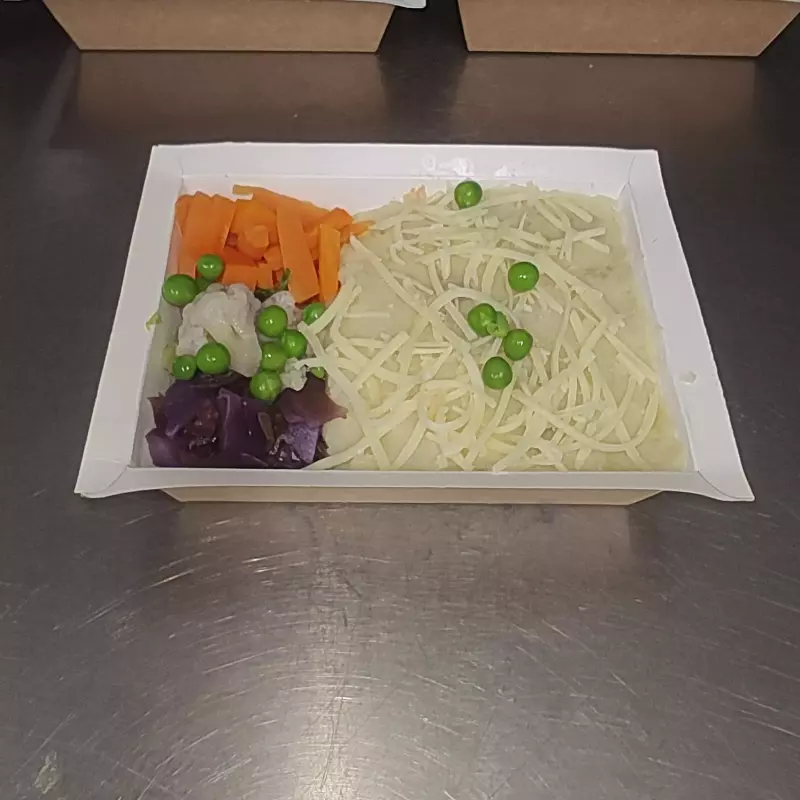 005F Escondidinho Carne (FIT)