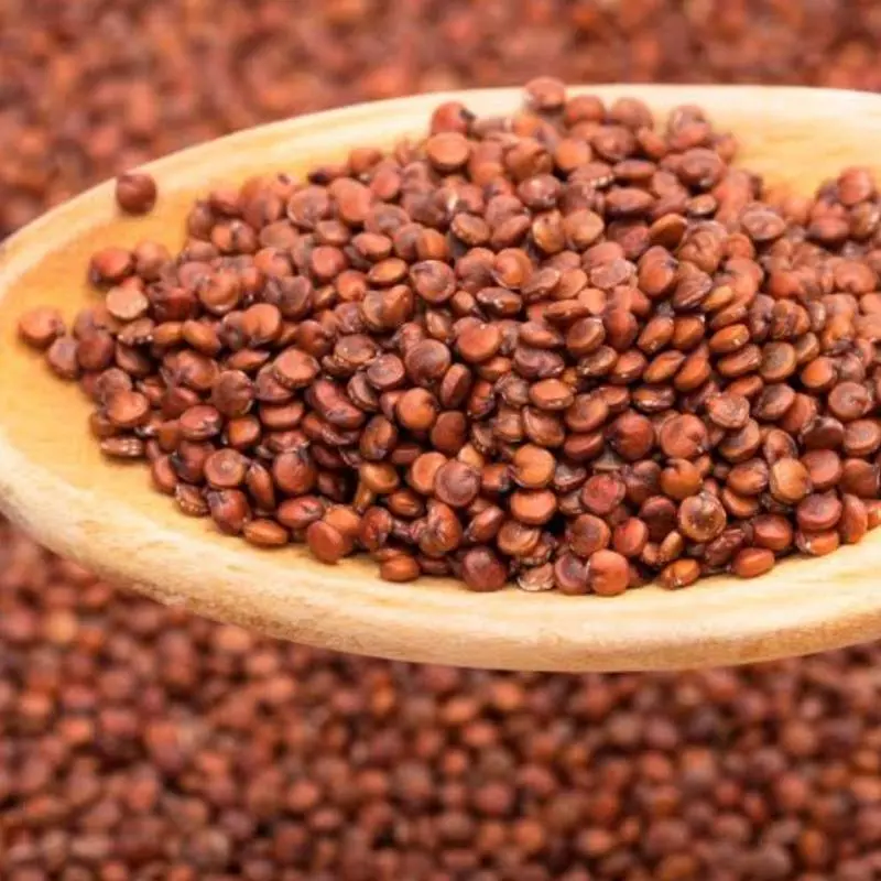 Quinoa vermelha