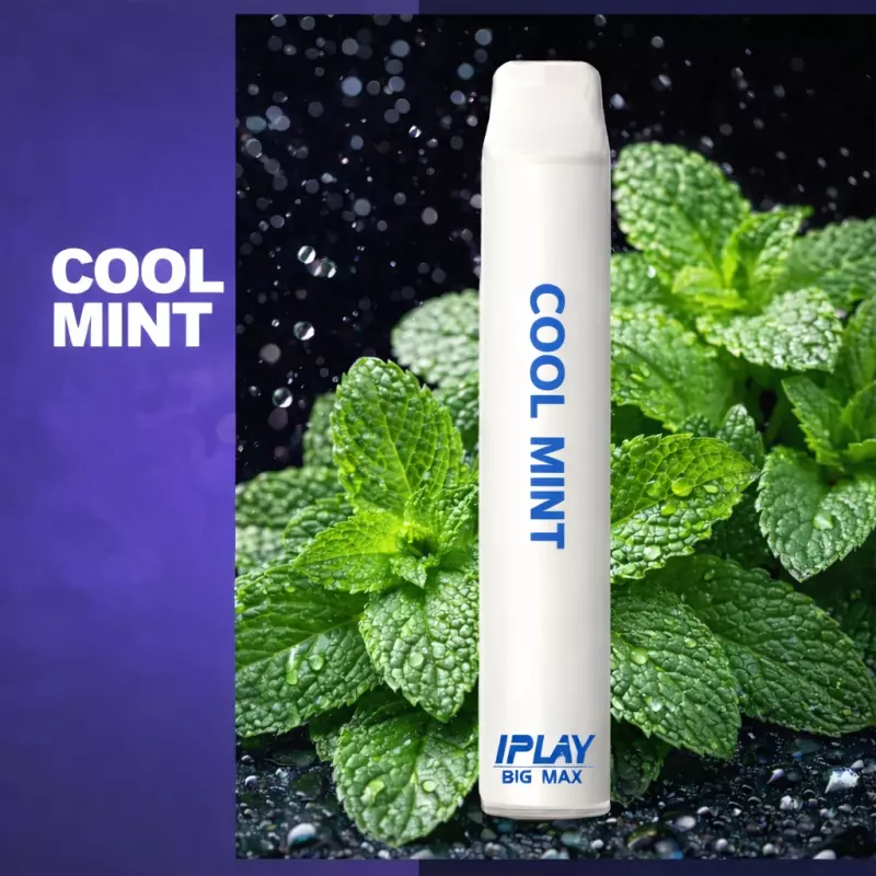 Big- Cool Mint 🧊🧊