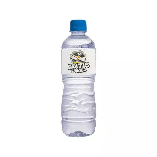 Agua Mineral Sem Gás 510ml
