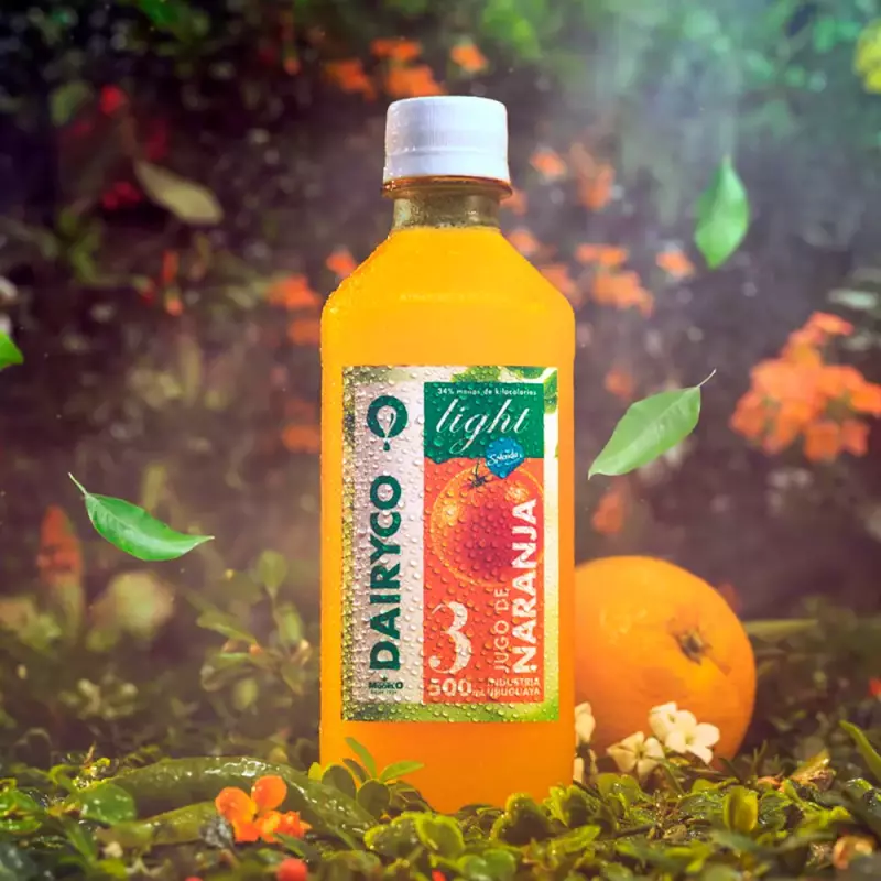 Dairyco Naranja Light 500ml