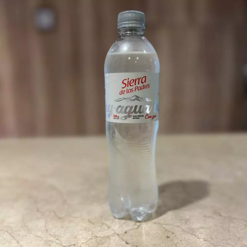 Agua con gas 500ml
