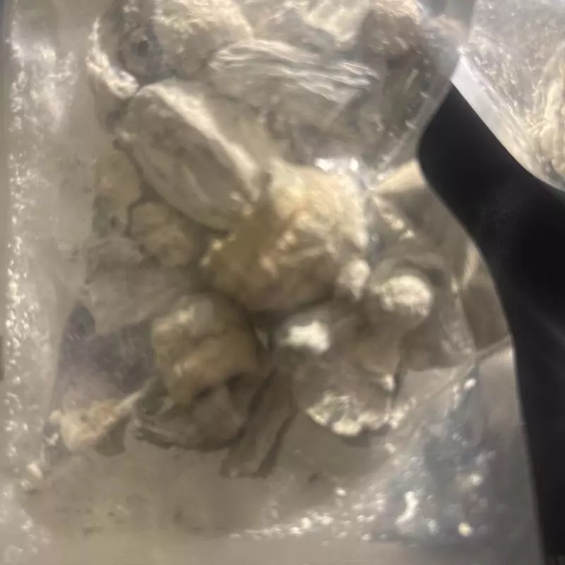 MAGIC MUSHROOMS (half 8th’s)