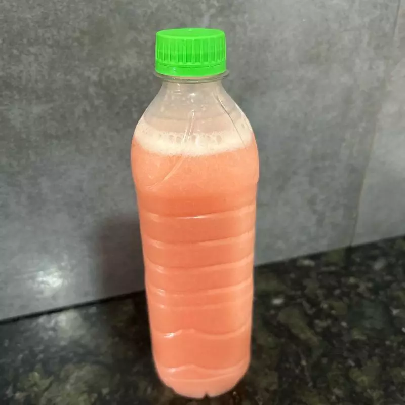 Suco de goiaba 500ml