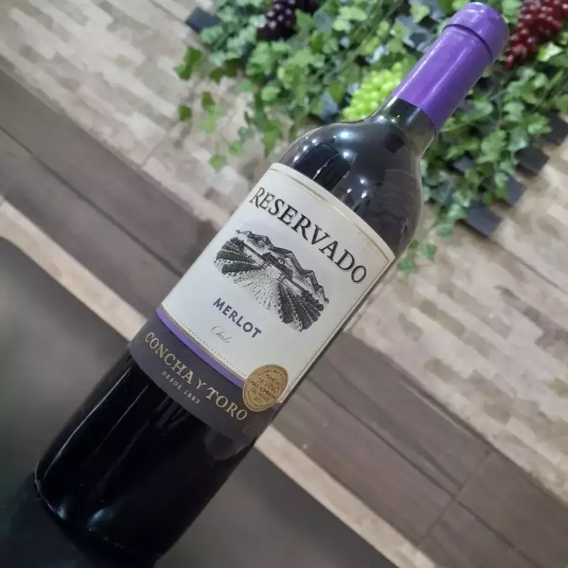 Concha Y Toro Merlot