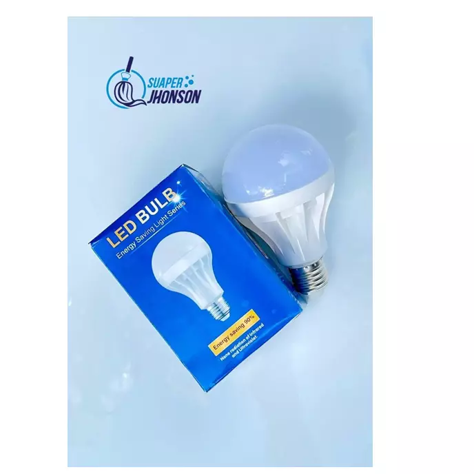 R10157-BOMBILLO LED BULD 12W