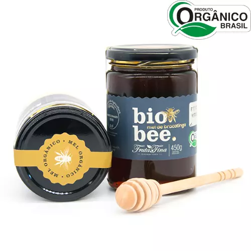 Mel Bracatinga Orgânico 450g
