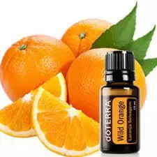 Wild Orange Óleo Essencial (Laranja-Selvagem)