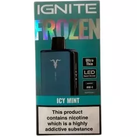 Icy Mint - 20.000 Puffs