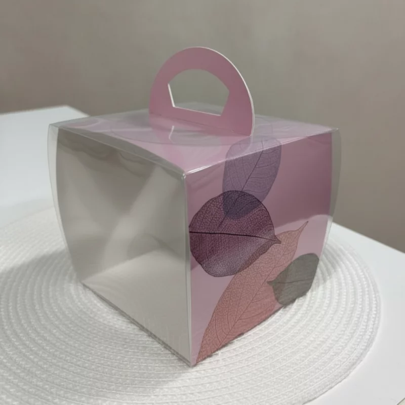 3015 CAJA ACETATO 10x10x10