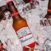 Budweiser 330ml