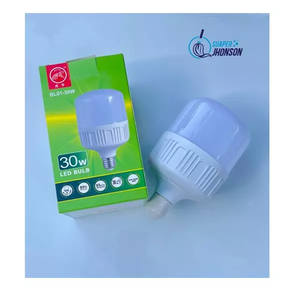 R10160-BOMBILLO LED BULD BL01 30W