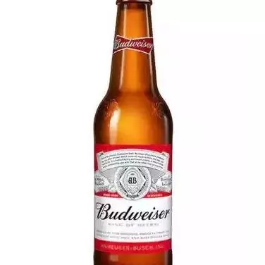 LITRINHO BUDWEISER