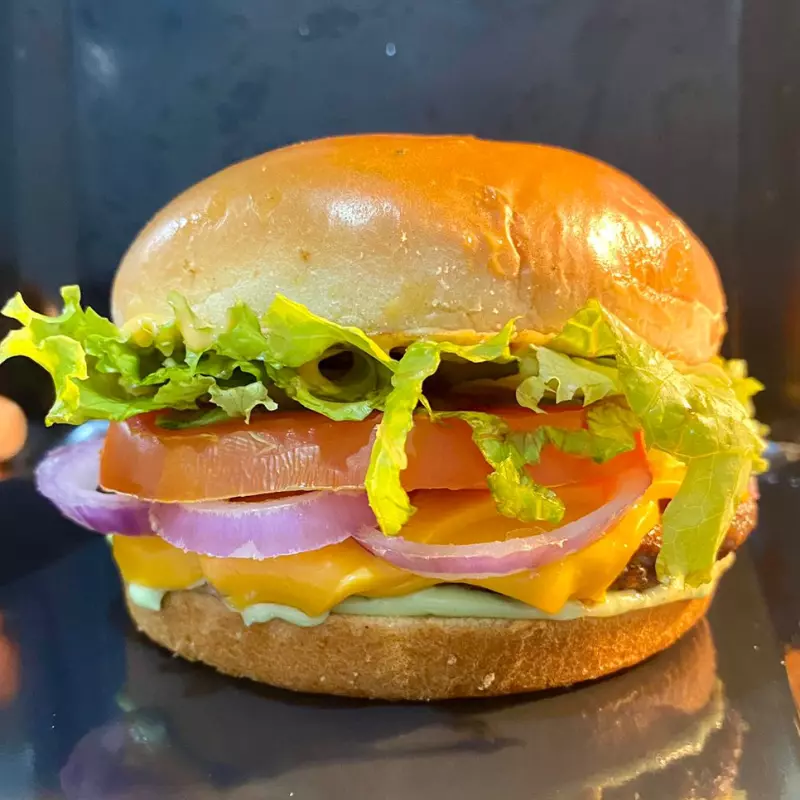 X-BURGER PICANHA