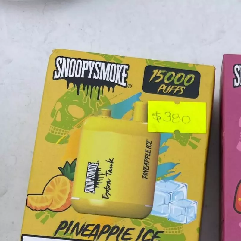 Snoopy -Pineapple Ice 🍍🧊