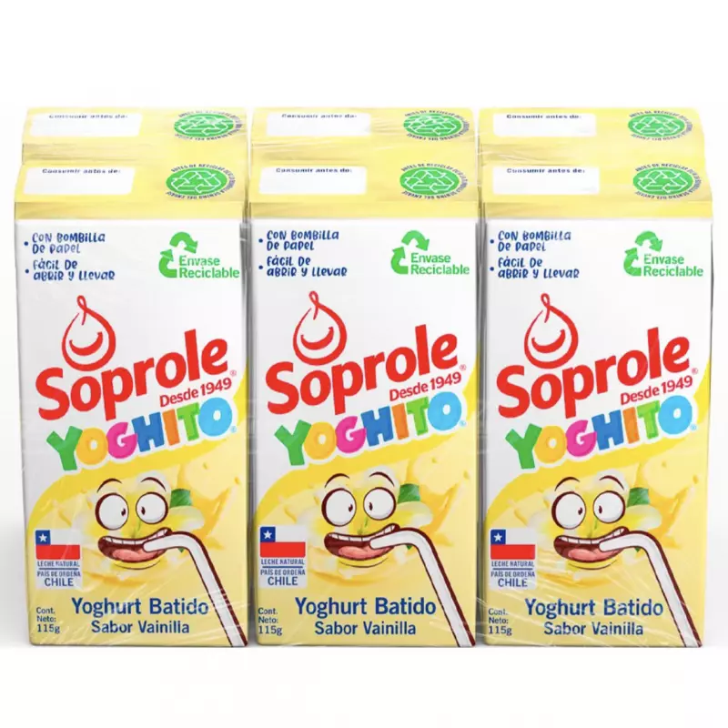 Pack Yoghurt bombillin vainilla x6