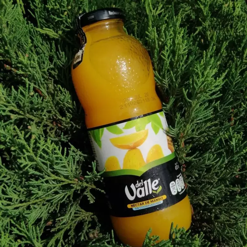 Jugo del Valle