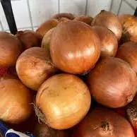 Cebola