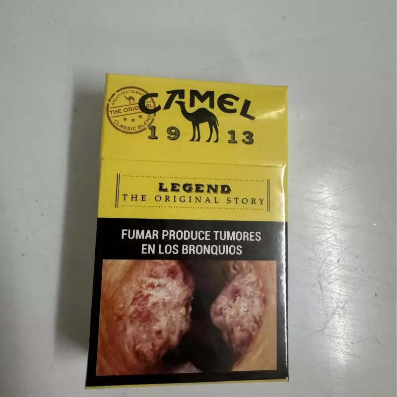 Camel Legend Box