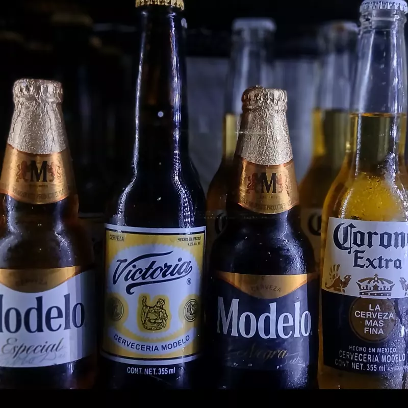 CERVEZA 355ml