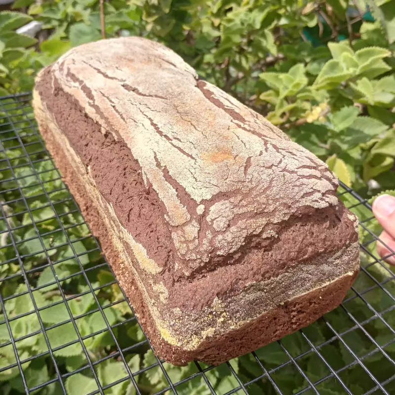 Pão Australiano 600gr