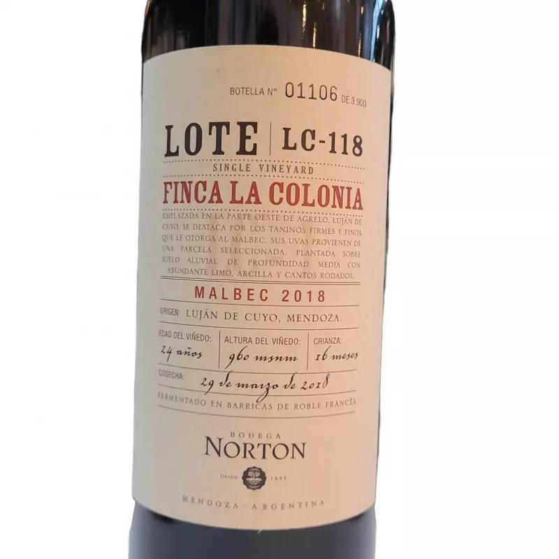 Vino Lote Bodega Norton