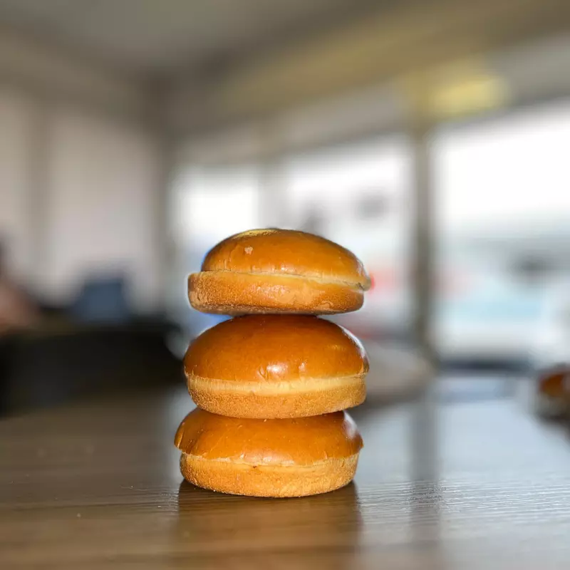 PAO BRIOCHE 65G