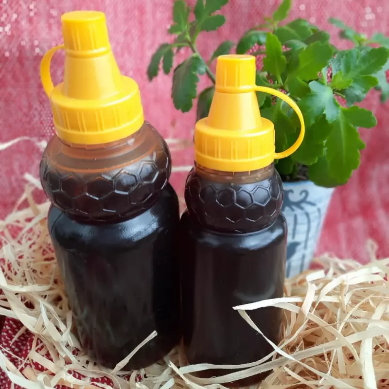 MEL ORGANICO AROEIRA