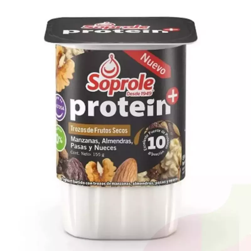 Yoghurt Protein trozos frutos secos