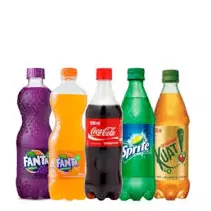 OPÇÕES DE GARRAFA 600ml: