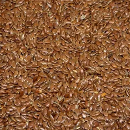 Semilla Lino