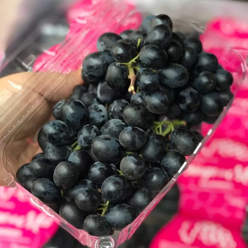 Uva roxa sem semente