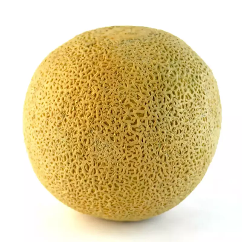 Melon