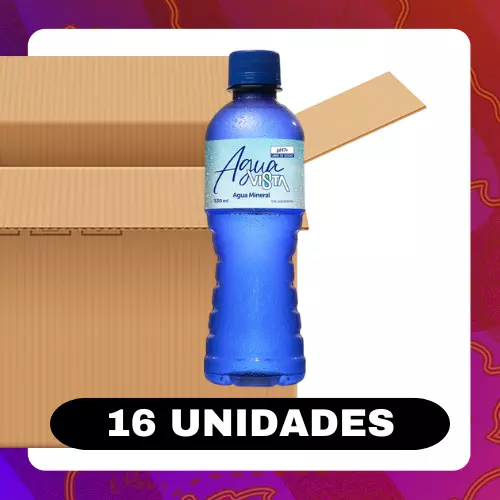 Bulto Vista Agua 330ml