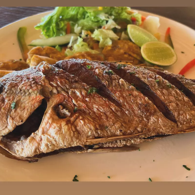 Pescado Culirubia 1libra