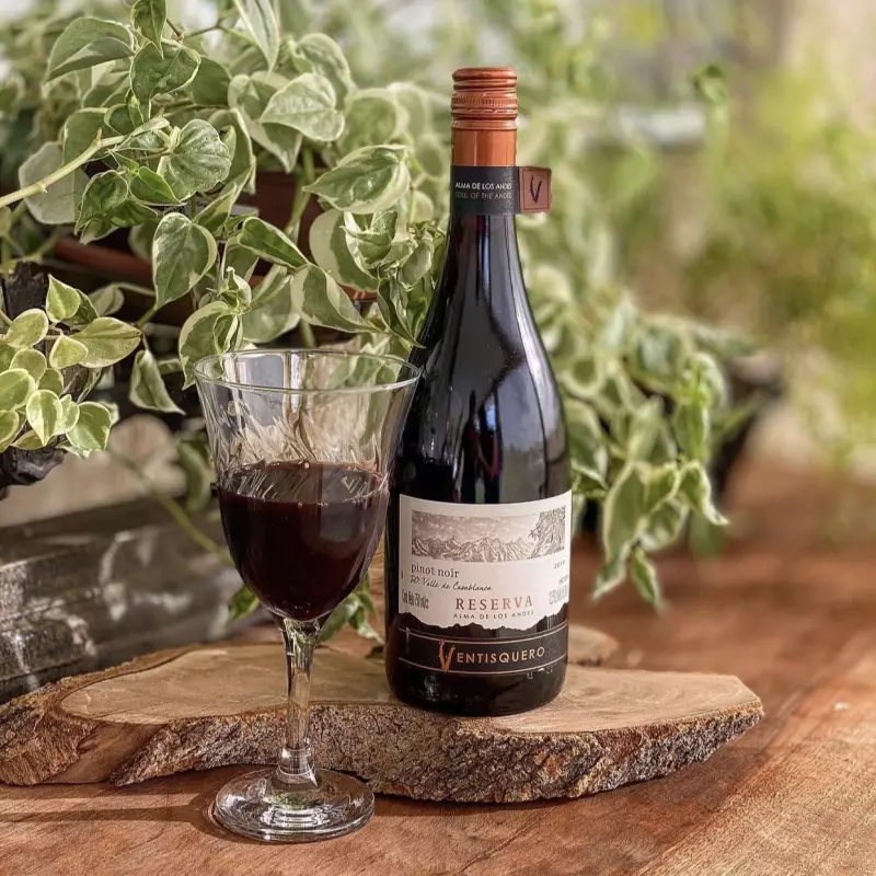 Ventisquero Pinot Noir 750ML