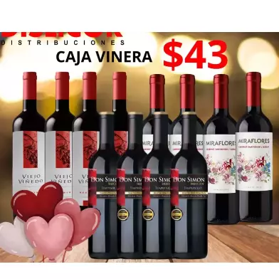 CAJA VINERA DE 12 BOT 750ml