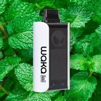 Fresh Mint