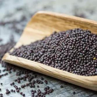 Mostaza Negra Seleccionada x25gr