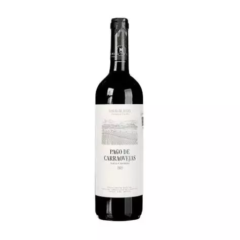 PAGO DE CARRAOVEJAS FINCA & BODEGA