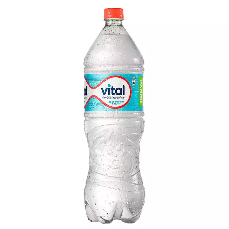 VITAL SIN GAS 1.6 LT