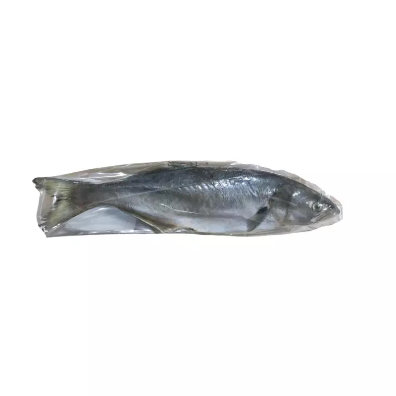 Anchova Inteira