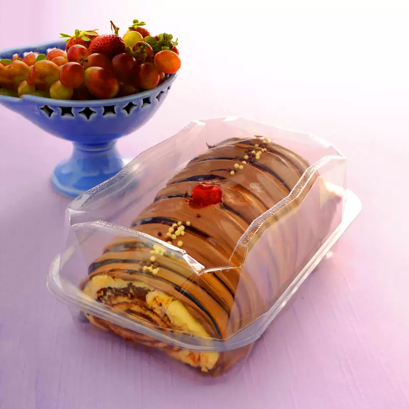 Contenedor rectangular  GA20D