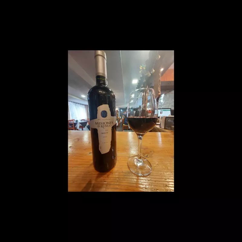 Vino Misiones de Rengo Merlot 750 cc