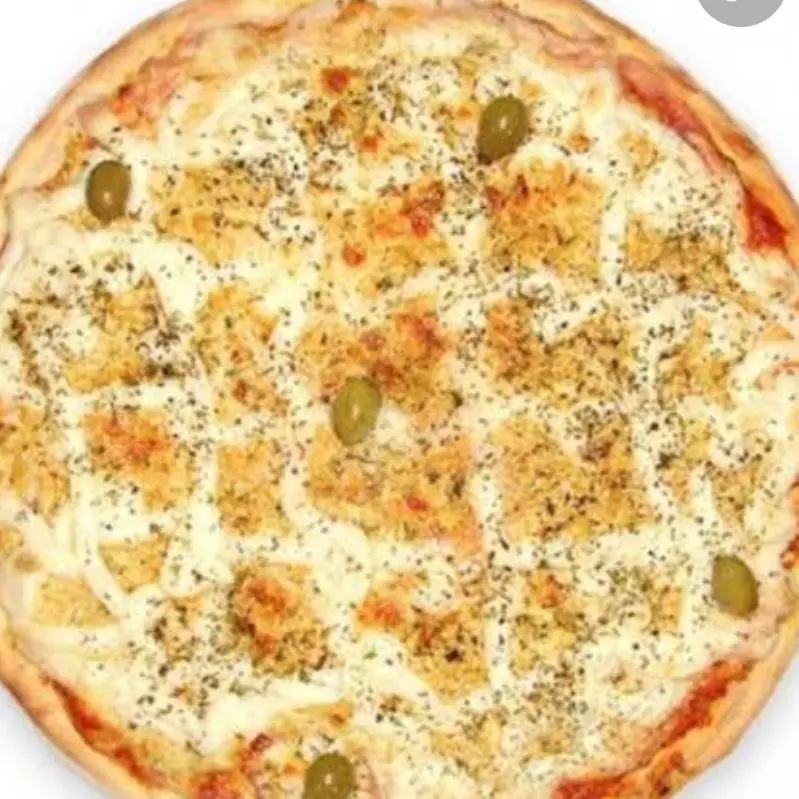 FRANGO COM CATUPIRY  (GG)